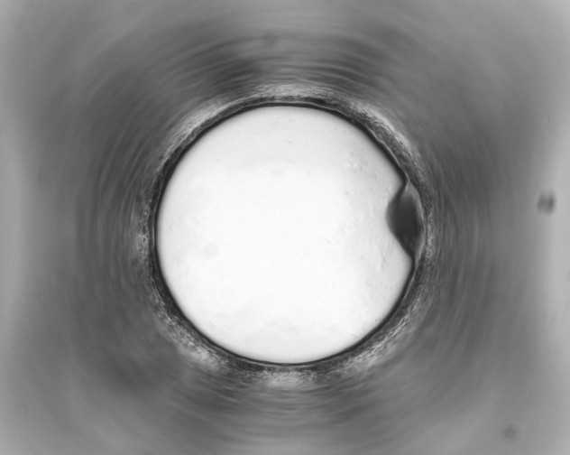 X0000093771025200711131207