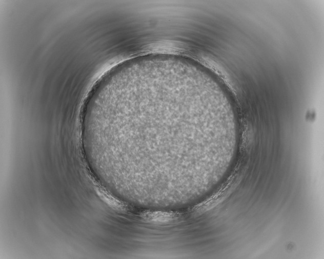 X0000093771027200711131207