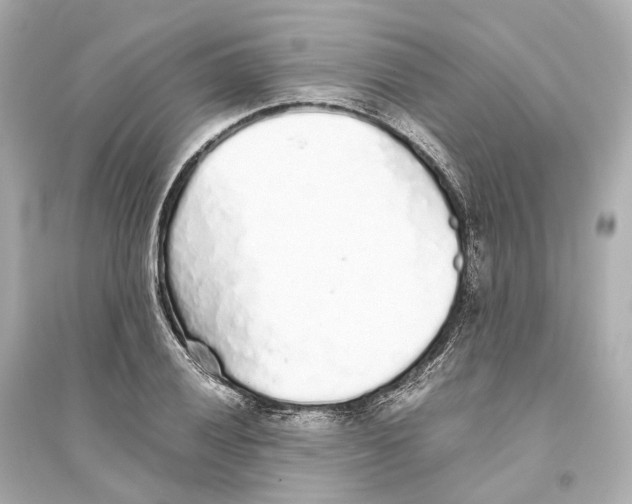 X0000093771028200711131207