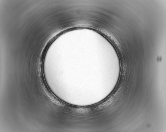 X0000093771029200711131207