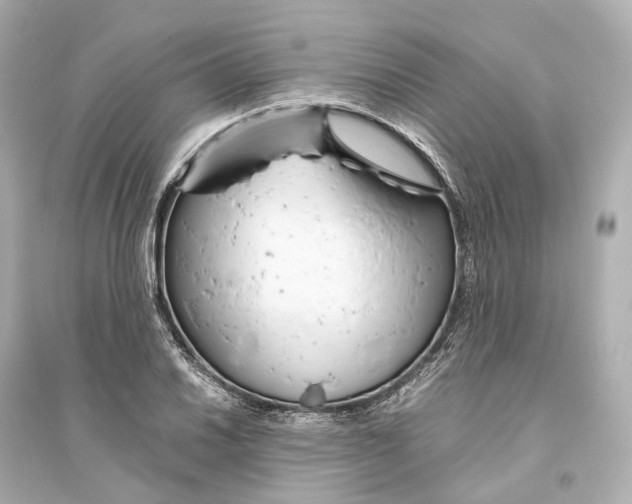 X0000093771030200711131207