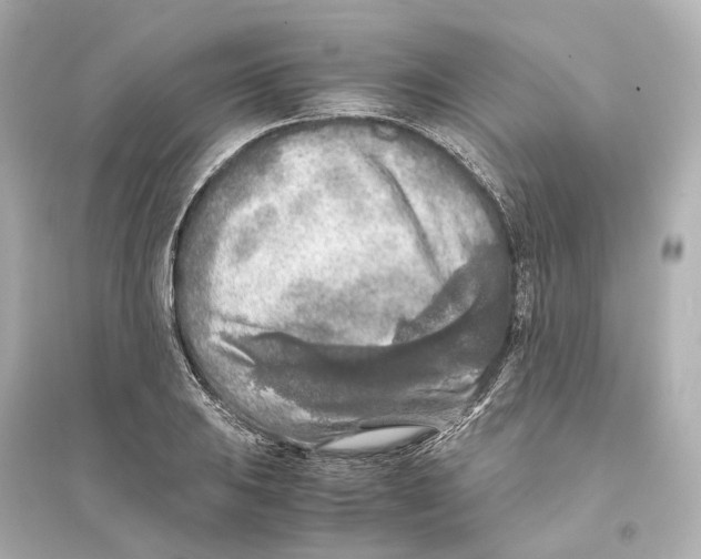 X0000093771031200711131207