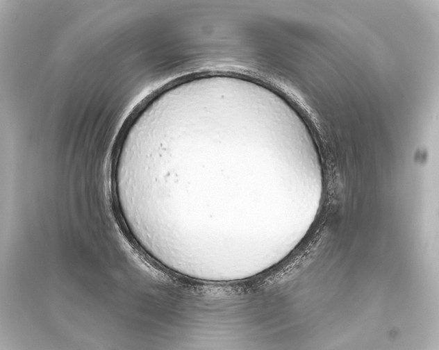 X0000093771032200711131207