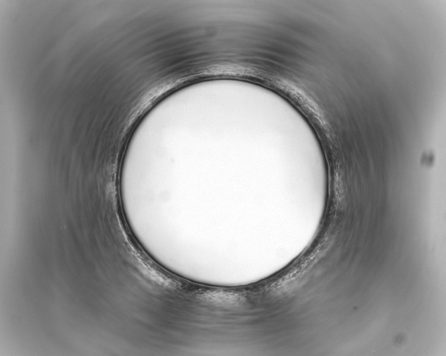 X0000093771033200711131207