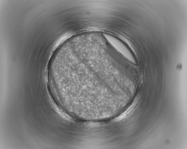 X0000093771034200711131207