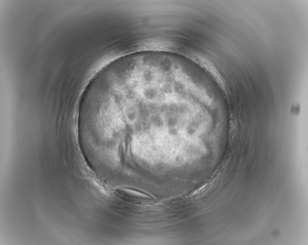 X0000093771035200711131207