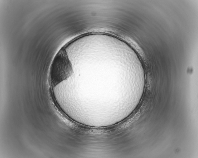 X0000093771036200711131207