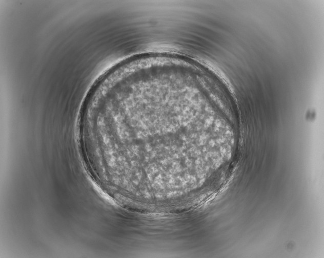 X0000093771037200711131207