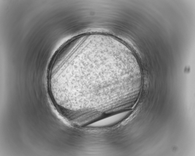 X0000093771038200711131207