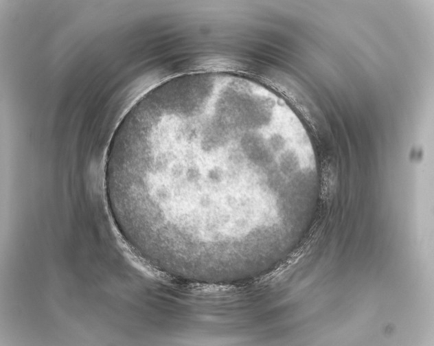 X0000093771039200711131207