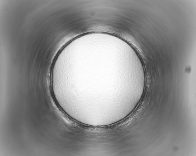 X0000093771040200711131207