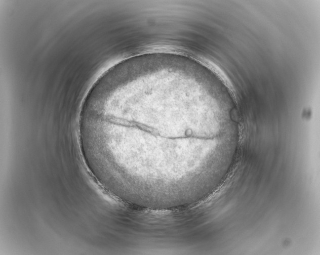 X0000093771043200711131207