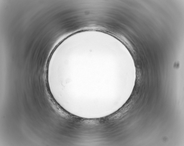 X0000093771044200711131207