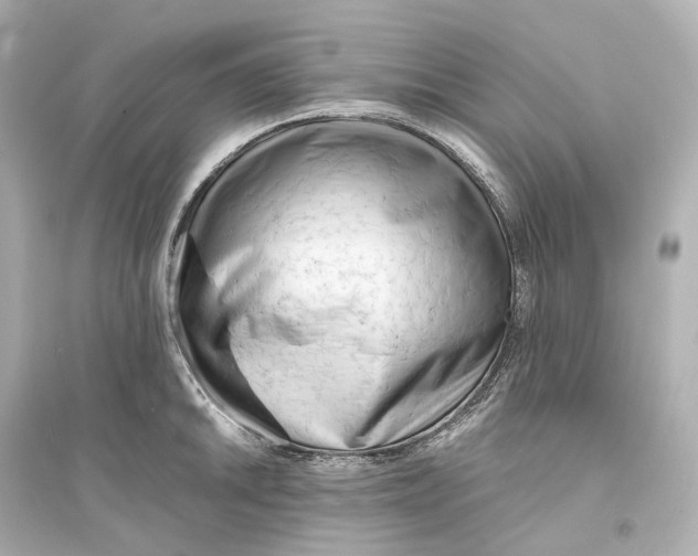 X0000093771046200711131207