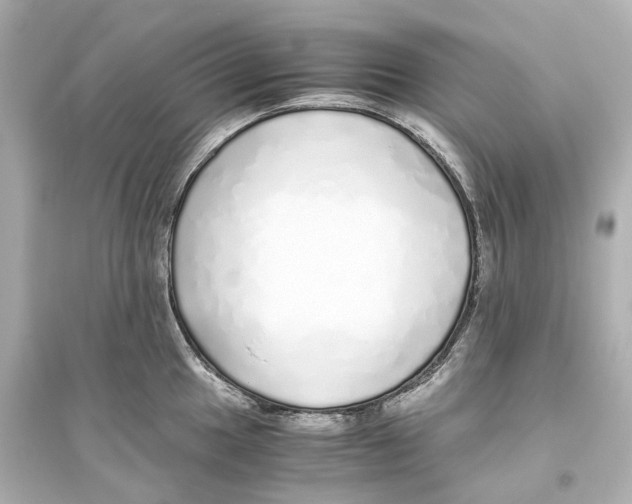 X0000093771049200711131207