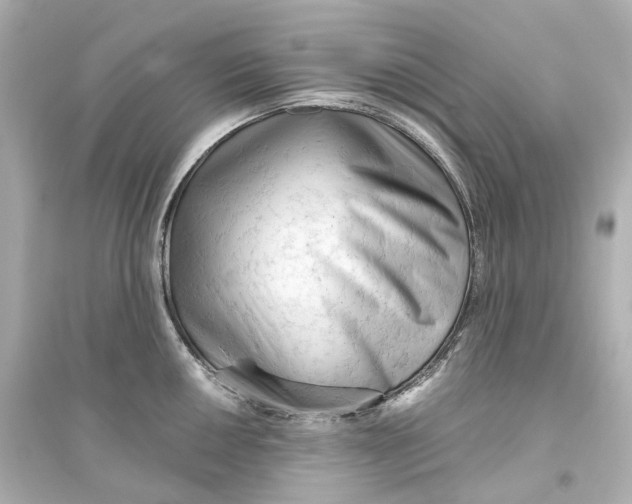 X0000093771050200711131207