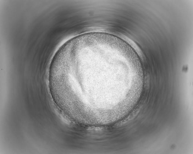 X0000093771051200711131207