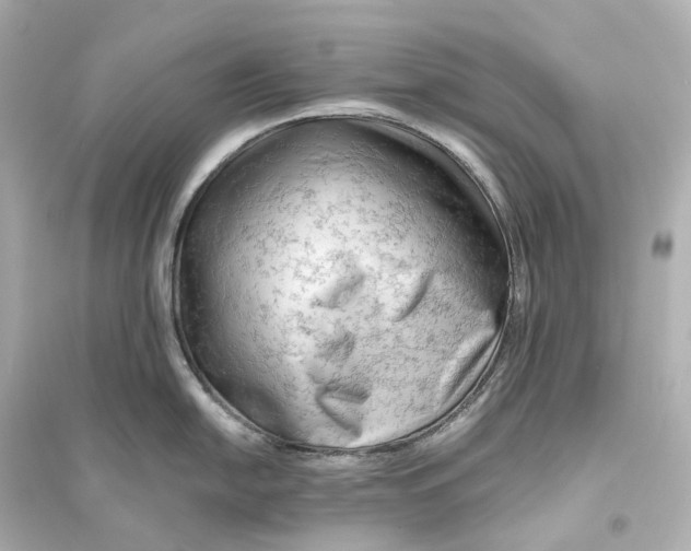 X0000093771054200711131207