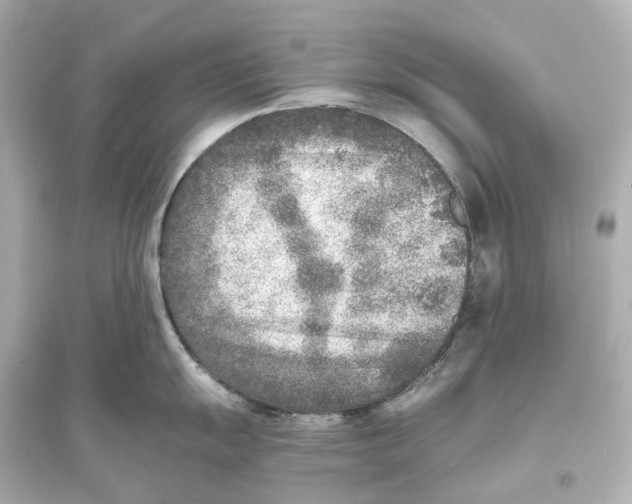 X0000093771055200711131207