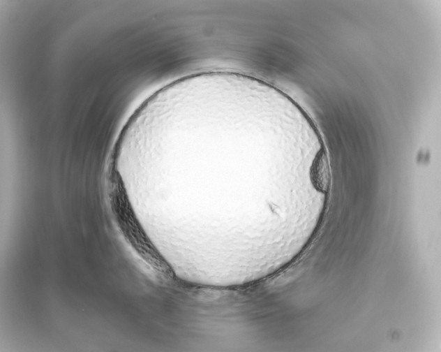 X0000093771056200711131207