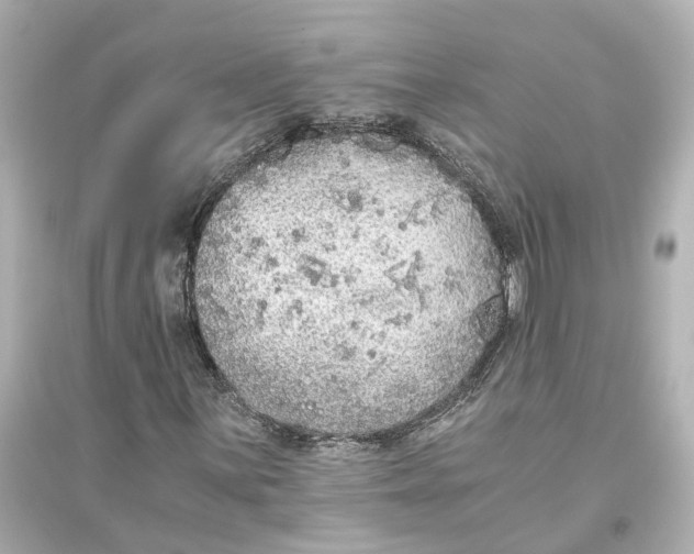 X0000093771059200711131206