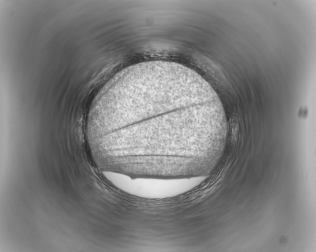 X0000093771060200711131206