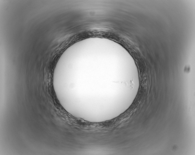 X0000093771061200711131206