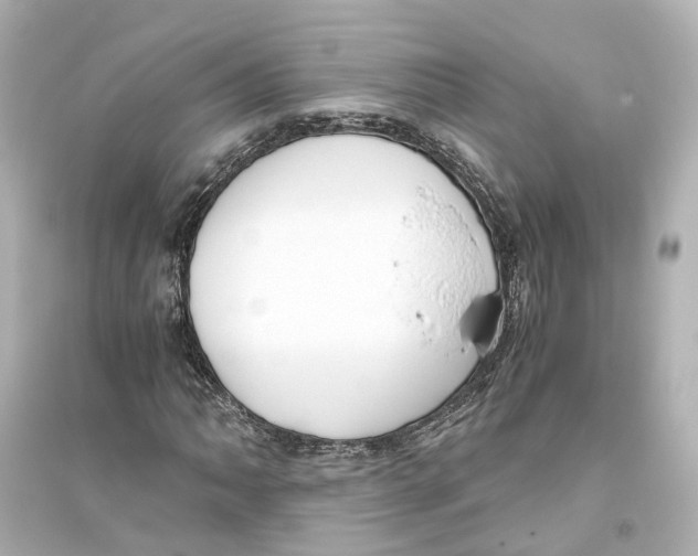 X0000093771062200711131206