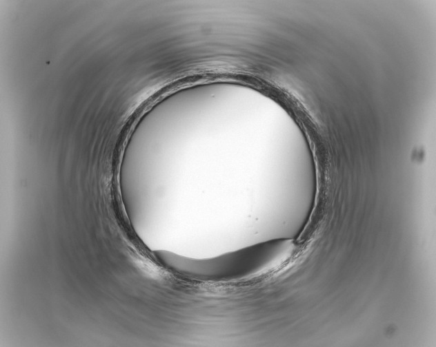 X0000093771065200711131206