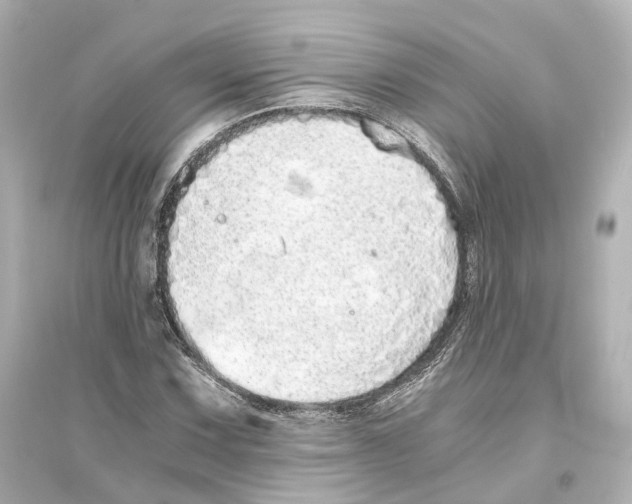 X0000093771067200711131206