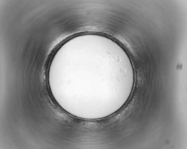 X0000093771070200711131206