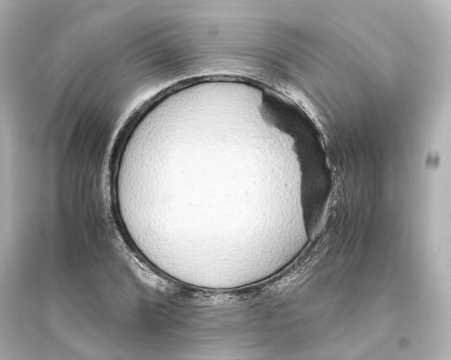 X0000093771072200711131206