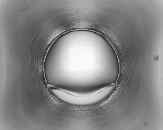 X0000093771073200711131206