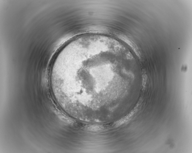 X0000093771074200711131206