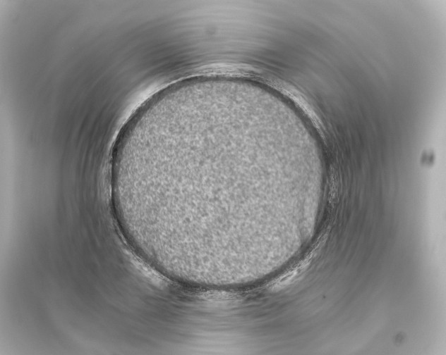 X0000093771075200711131206