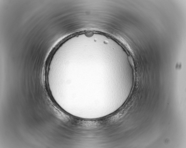 X0000093771076200711131206