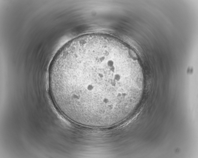 X0000093771079200711131206