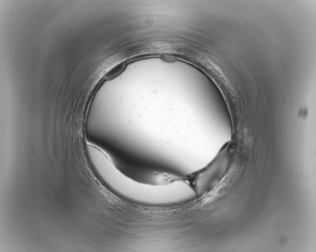 X0000093771081200711131206