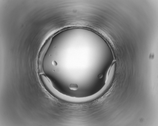 X0000093771085200711131206