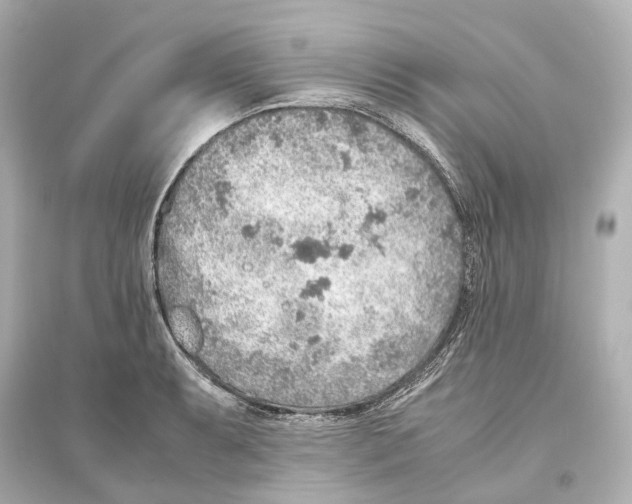 X0000093771087200711131206