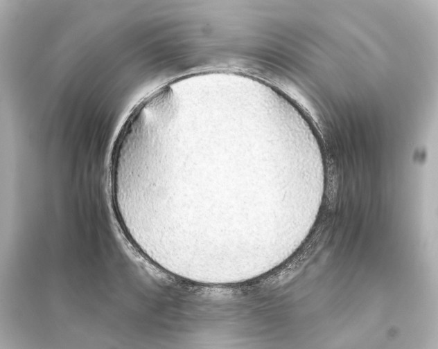 X0000093771088200711131206