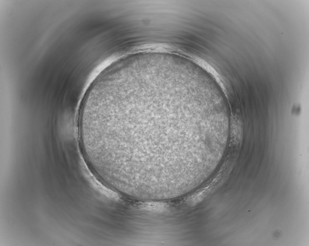 X0000093771090200711131206