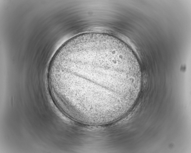 X0000093771091200711131206