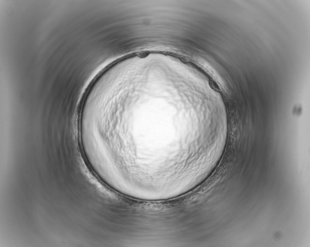 X0000093771092200711131206