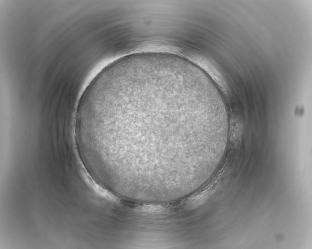 X0000093771094200711131206