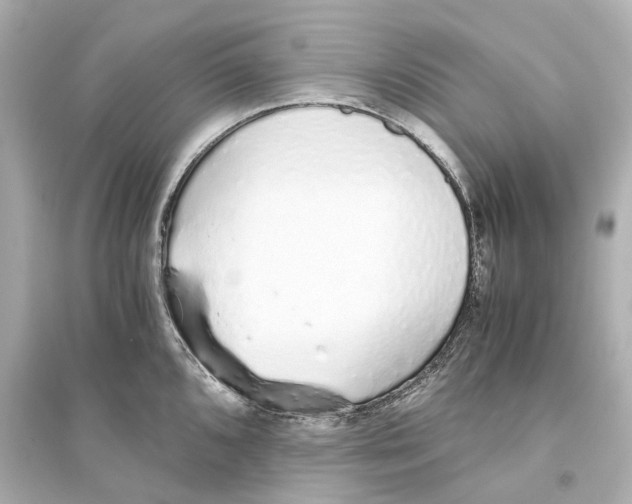 X0000093771096200711131206