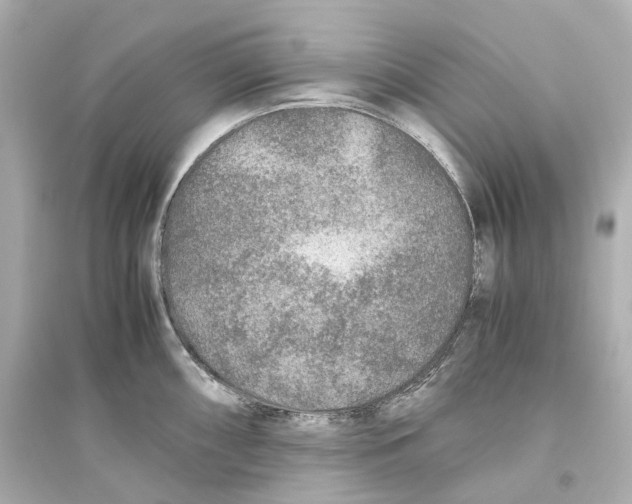 X0000093771098200711131206