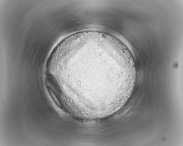 X0000093771099200711131206