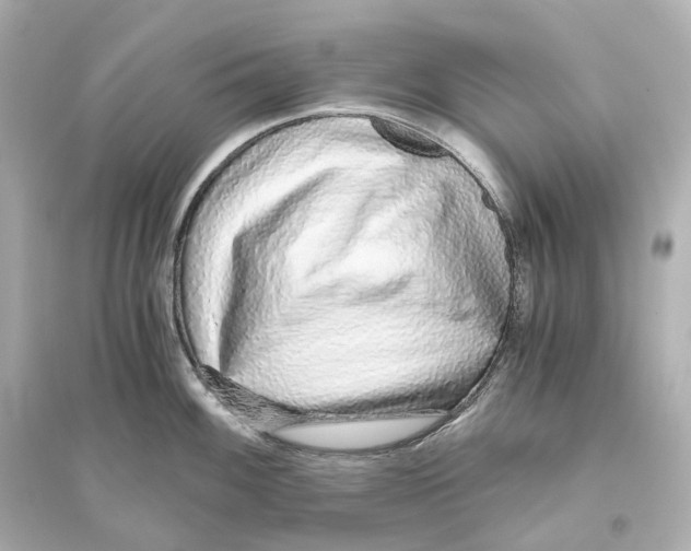 X0000093771100200711131206