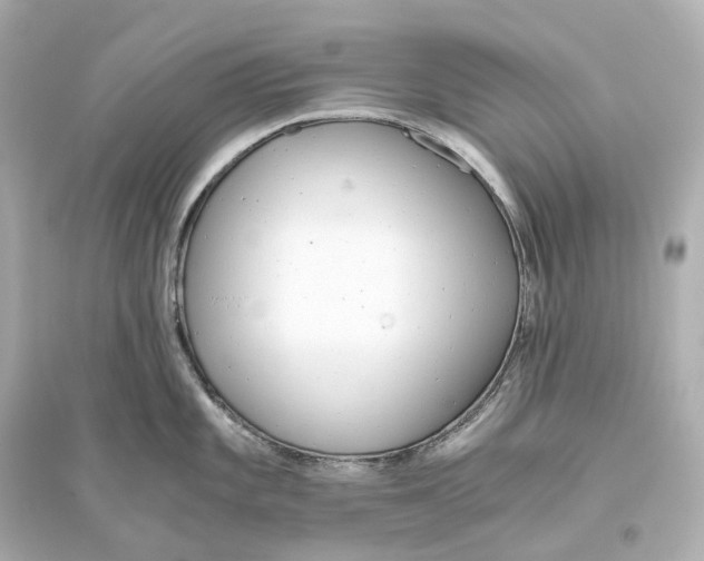 X0000093771101200711131206